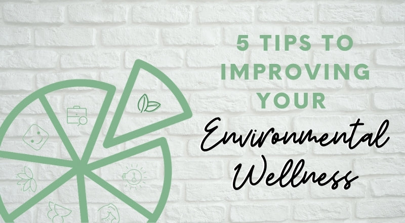 Do Your Part: 5 Tips for Improving Your Environmental Wellness
