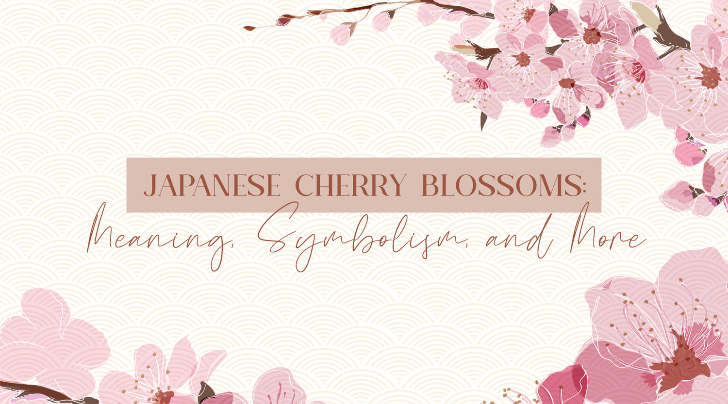 Japanese Cherry Blossoms: Meaning, Symbolism, and More